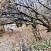 78a5a0724a4288c3eb73b0784c13b976