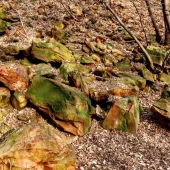 8bbbe4d648bccb01ecadc9b075ae6e2a