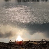 8c29b1d88da29e482184a0d58ae40dce