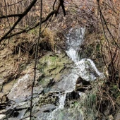 8fa8b928d8d98207b0ad4dd9ce310099