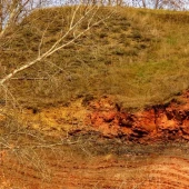 8fb2912e26e3f6791316e440f9eb32fa