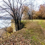 957a0d43d87c7a552523b12a56325dbc