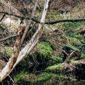 a52cd78d7bf1cb333f18d015b665acb6