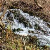 acf87040e2470b359edfba9abdb3575c