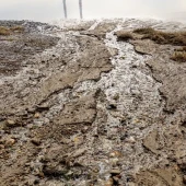 b0cc9274d69b129ea2e2e9ae419f7f11