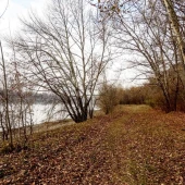 b76b268d499fae83e3aa3308e4f702a4