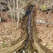 ba7fe66766ab405c851f9565097460cf