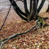 bbc7e6e50a09cb027b0decd419873d78