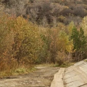 bcfab6b9c771615026b8a293c044a1e6