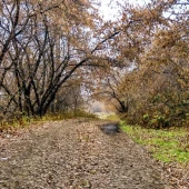 c151b5a41e5a0c3cfefb587942c95b9c