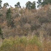 c51a63e30a98c22c8e19b364cc5a9dc3