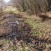 ca39bd19769256e2f28c768572024886