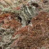 d5368275a746f77b062621a3c87cfa1a