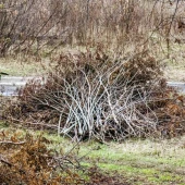 d63b122be18ca27782c8bc72406e6412