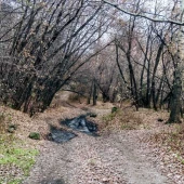 e2302ab797496451b75765ef9b6fcb2f