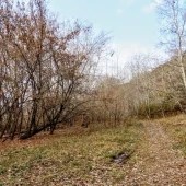 e880ff3c7ac8862fad16c983961c0ff7