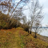 f35e98f23146726e6aa1f803da502e7f