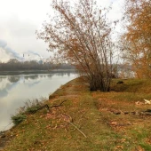 f562d83976945a4bc99a56ed65512b77