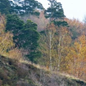 f7a4f73526d6d255d863ebd64e312f4f