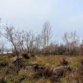 00b210136979baa3d010f2dd8187216b