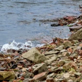 01c6572942e1c0224dff2b91512553bd