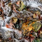 01e8911644c1cfd10129423d74b385f8