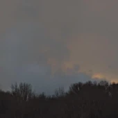 02ed302f099671a22742578e0ead200f