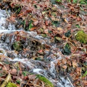 0384bc6e8a50da453f9b10699ac7ac3b