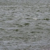 071a70fc10c2fa6e9ebd93128c79bb2e