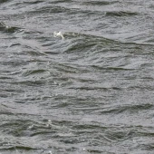 07a93259997a5c81aae09f768db9d809