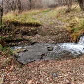 0b5d0e72c532b2216e46bb01c726d60d