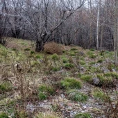 0d0eb63fcb5d71c35a48705305fdd961