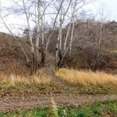 0d95f4b394f2b7276e657ba045a5159c