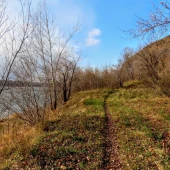 0da77fb8989f44251844e4b1f5838667