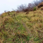 0e1d1c19a049be293c1cbc5e8540db16