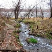 0e7933d91bcd9512ca8103030f9a4f77