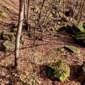 0f4c2a9de77ac8af6b65a968300fd768