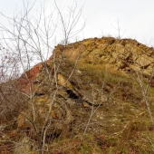 0f618b27304d5a72b1b879c614f58a46