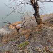 0fc9e33239efe0946d8a5a90d097759b