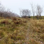 140c2253f0a508154ebc7dc5f87d088d