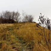 149f050028ed04d673e3423075185ae9