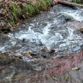 155ea0583d2ffa9c107020e14df0c181