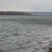 15a8c47aaba8dd6dcd1e087bdf7a2112