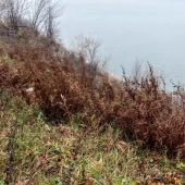 1650b52daed203791e5e611e563b3de7