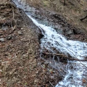 16f7b4669e0c39f20c66d087cd7ea0ad