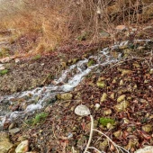 1795a0aa11aad6610b36e6211d569d7c