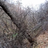 19070bac0f76c3def37342d09bc1e114