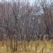 1b442d40082cdd4f14139037e29a4208