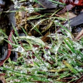 1b679d1baa9d42cd8b58e156f4ed077c