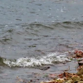 1b97f61a693a7c4cb28ed70ac75c6812